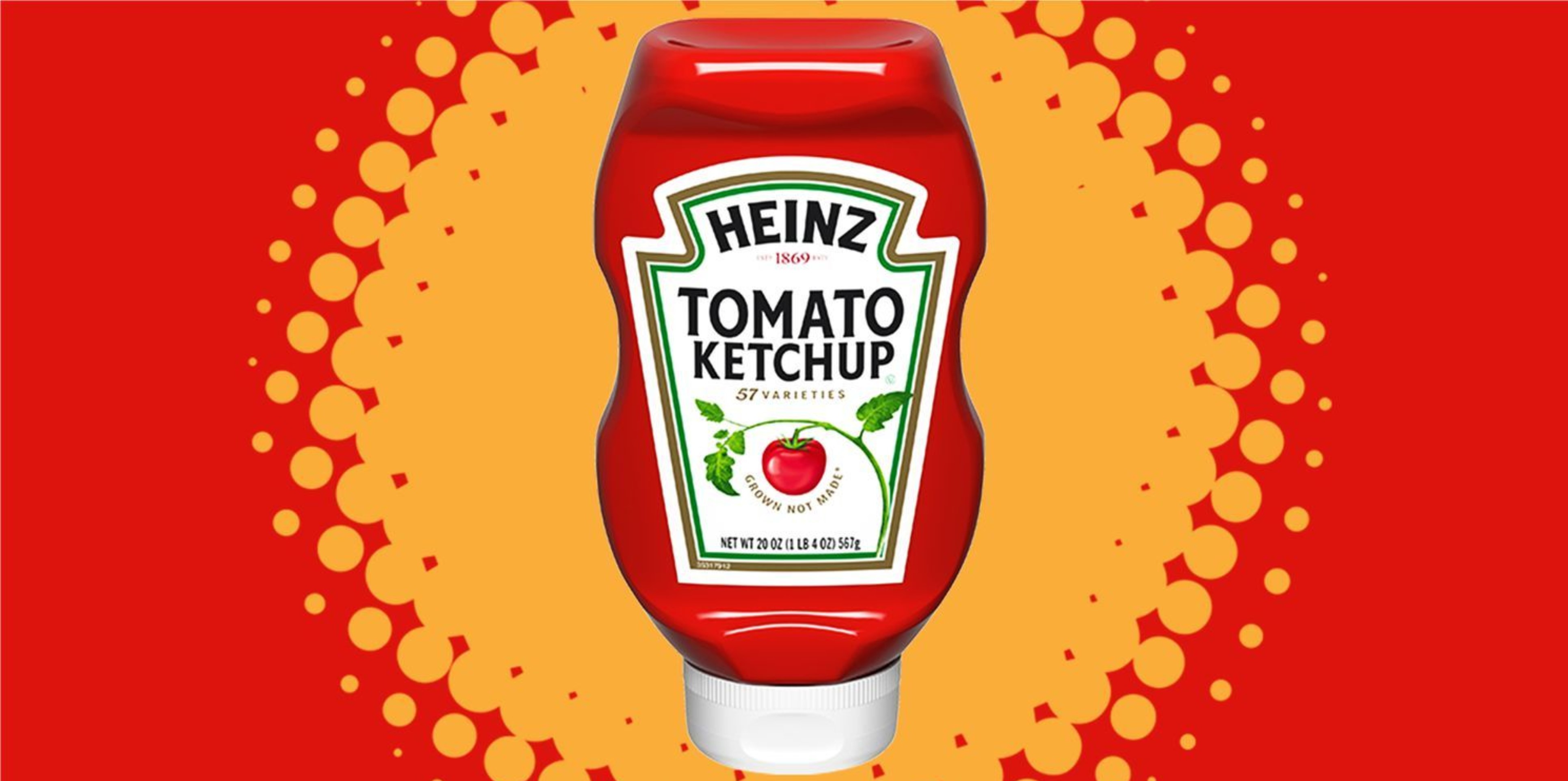 Comprehensive State of Heinz NASDAQ:KHC Financial Highlights