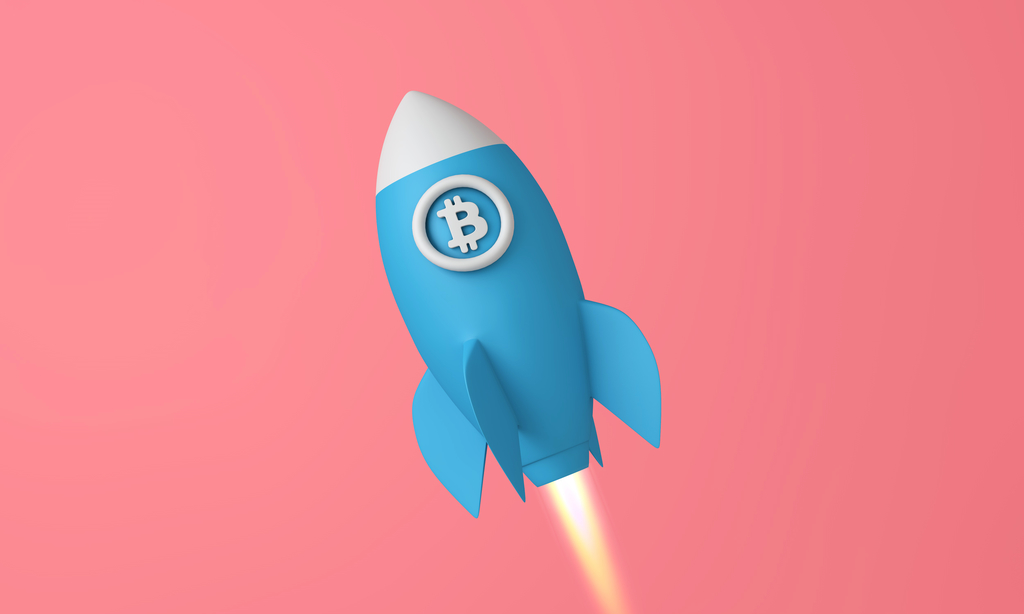 Bitcoin's Dominance Matters, 2 Year High, Commanding 48% of Crypto Market